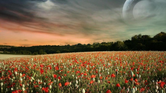 为什么不用rust重写Nginx？